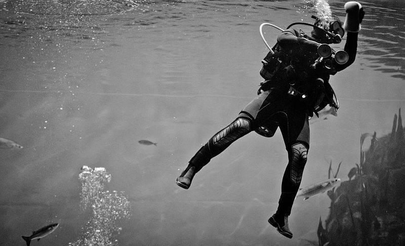 Images Learn/3_WC_1969_Archangel12_Cleaning_the_window.jpg